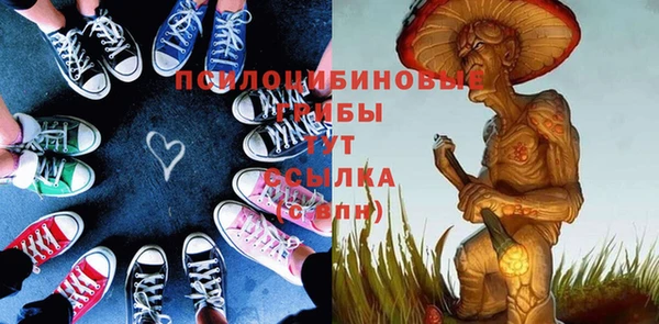 трава Корсаков