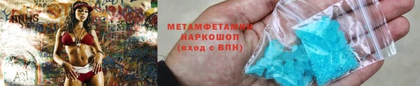 трава Корсаков