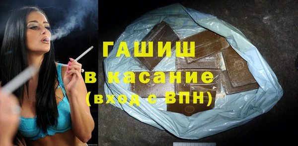 трава Корсаков