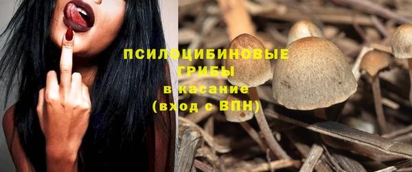 твердый Коряжма